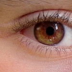 コンタクトの人の花粉症対策は？点眼薬と目に効く内服薬は？