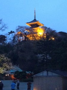 三渓園の夜桜ライトアップの時間と食事のおすすめの場所を紹介！